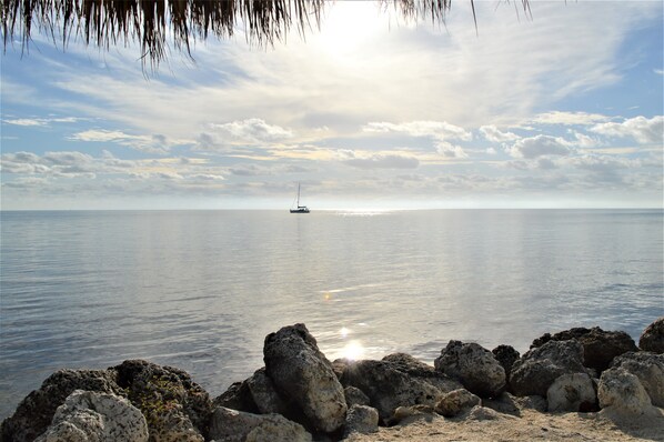A calm sea with a sailboat in the distance, surrounded by rocky shores.