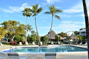 Relax by the pool surrounded by palm trees and lounge chairs.