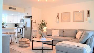 TV connectée, cheminée, lecteur de DVD, livres