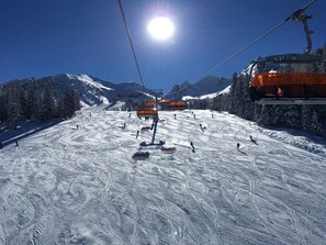 Sneeuw- en skisporten