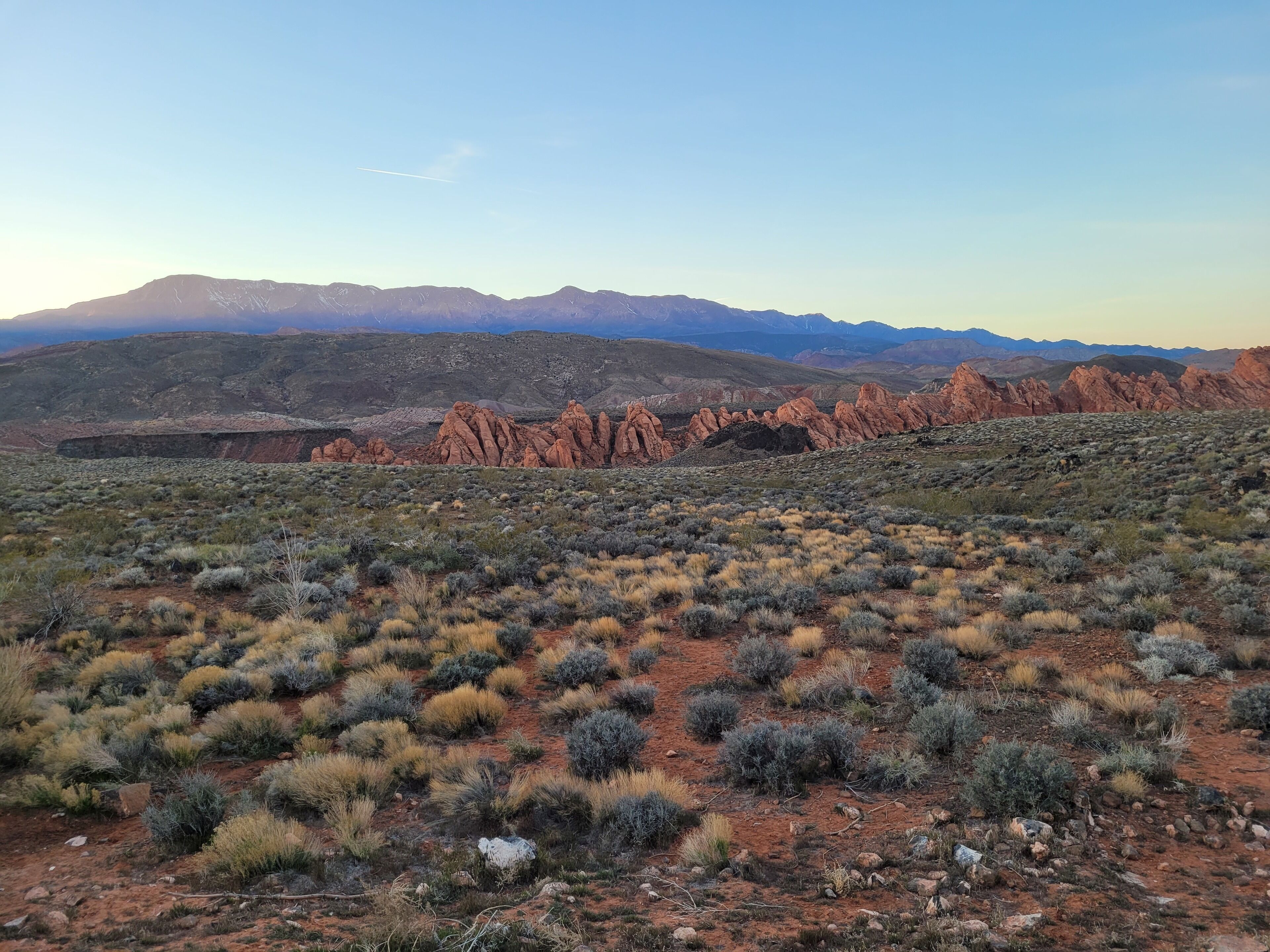 A desert landscape with sparse vegetation and red rock formations in the background.
