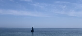 Your home away from home! Recently renovated and close to Ditch, Downs and Town!