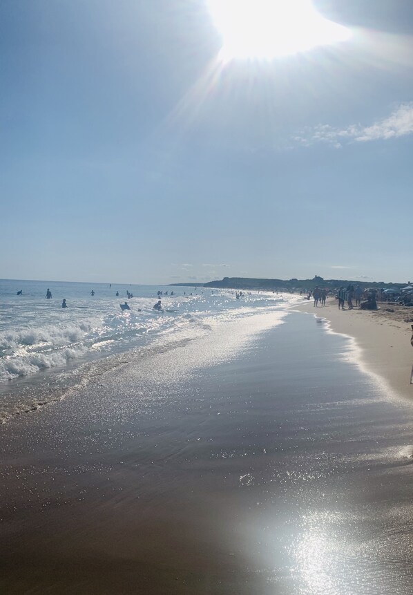 Sun loungers, beach towels