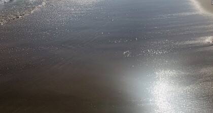 Your home away from home! Recently renovated and close to Ditch, Downs and Town!