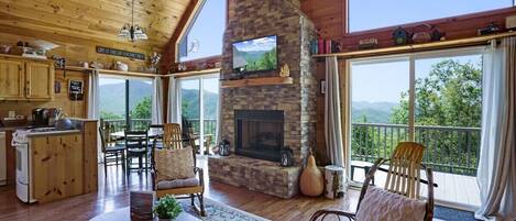 TV, caminetto, lettore DVD, libri