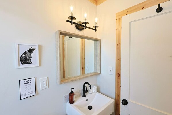 A bathroom with a sink, a mirror, a framed picture of a dog, and a 'Flush Only' sign.