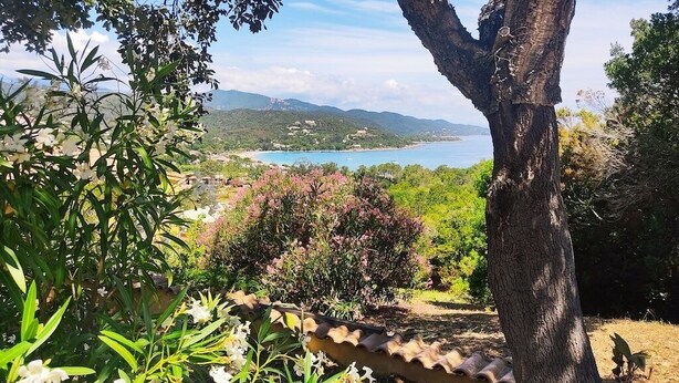 A garden with a tree, flowers, and a view of a lake and mountains. - Apartment 6 pers 3 mn from the beach sea view (FAVONE)