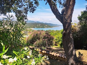 A garden with a tree, flowers, and a view of a lake and mountains.