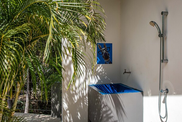 A bathroom with a shower, a blue sink, and a painting of a donkey wearing glasses. - Latitude Adjustment - Ocean View, Surrounded by Bonaire Nature! (Kralendijk)