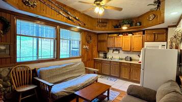 Smart TV, fireplace, DVD player, books