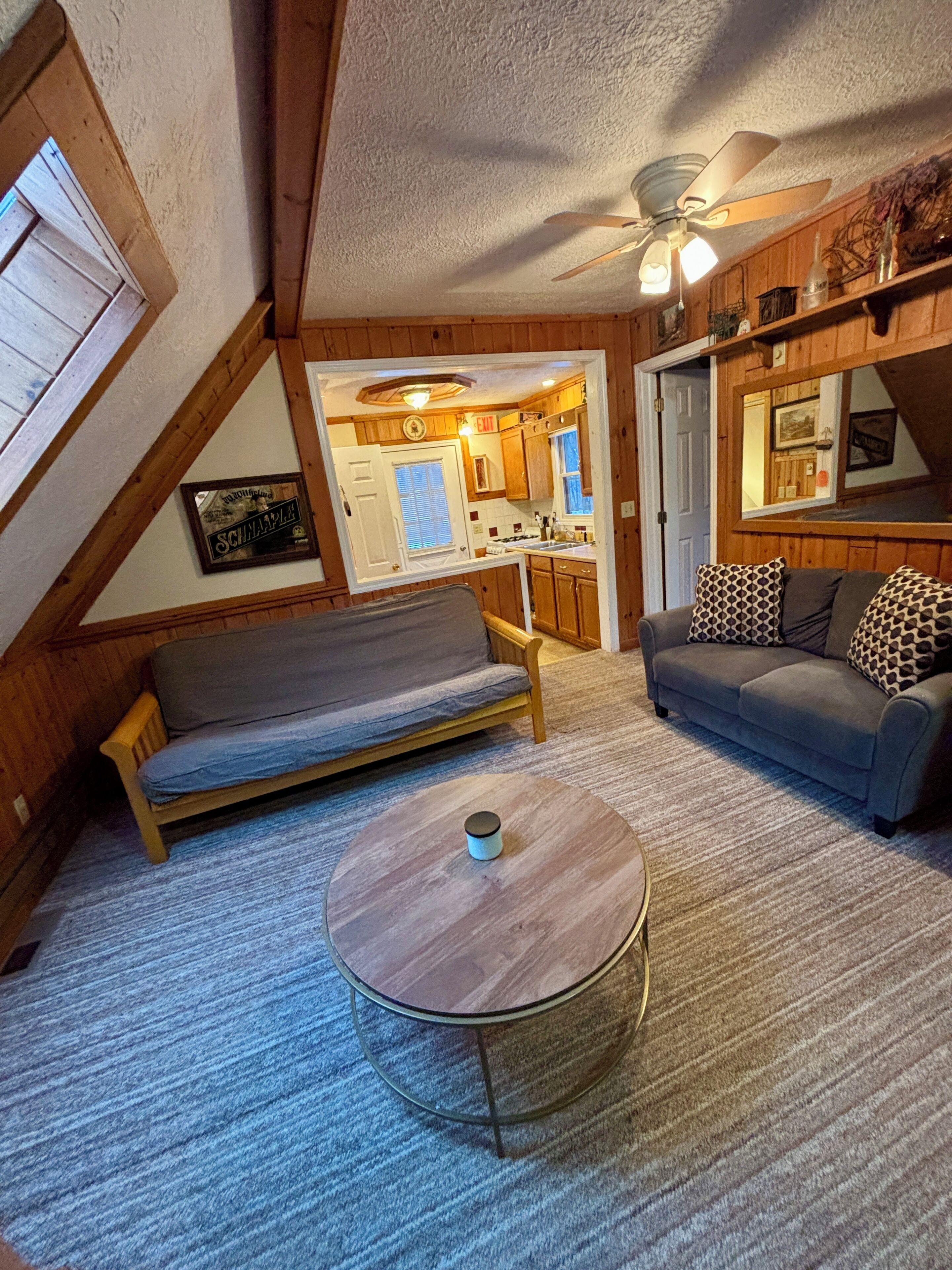 Téléviseur connecté, foyer, lecteur de DVD, livres