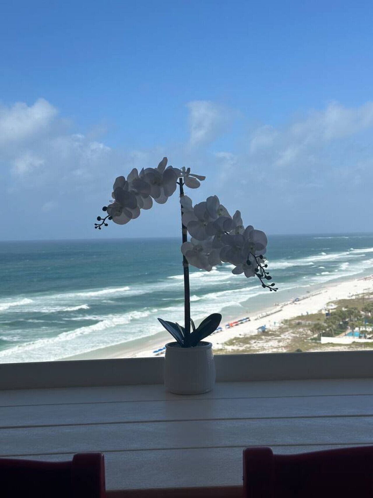 A potted orchid on a windowsill with a view of the ocean and beach.