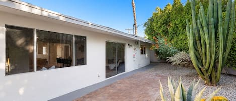 A modern house with large windows, a paved driveway, and a variety of cacti and plants in the yard.
