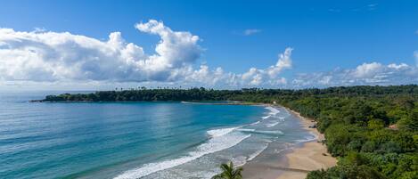 Chaises longues, serviettes de plage
