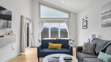 Smart TV, fireplace, books