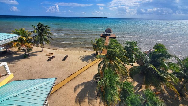 Une plage avec une terrasse en bois et des chaises longues, des palmiers et une structure surmontée d’un toit de chaume.