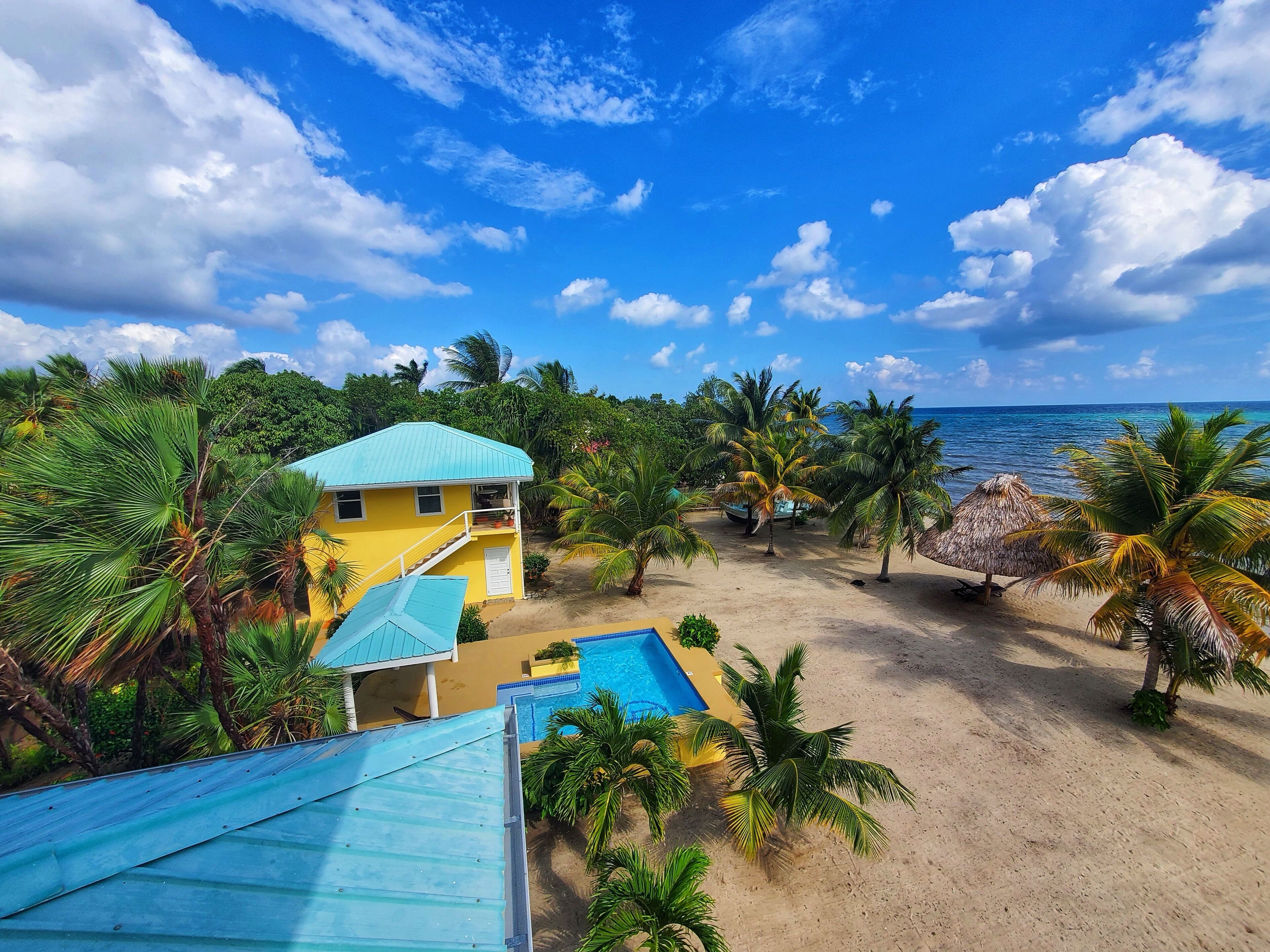 A beachside property with a swimming pool, a thatched-roof structure, and palm trees.