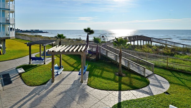Une promenade en bord de mer avec une allée en bois, des bancs et un palmier.