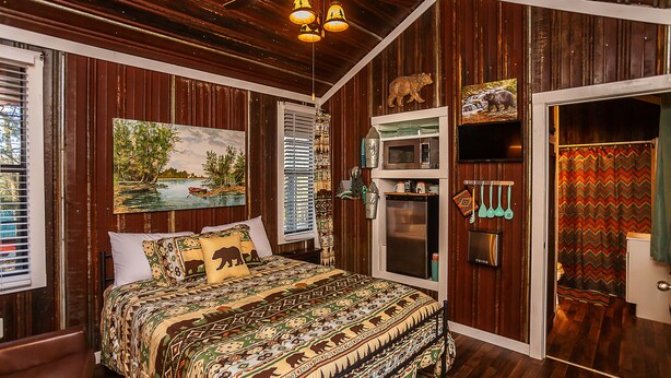 A bedroom with a bed, a painting, a television, a microwave, and a shower curtain. - Yeti Cabin (Benton)