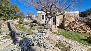Un edificio de piedra con un gran árbol en primer plano, rodeado de rocas y vegetación escasa.