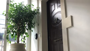 A potted plant next to a door with a doorknob and a light switch on the wall. - House La Dimora del Barbiere Catania (Catania)