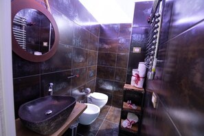 Ein modernes Badezimmer mit einem Steinsink, zwei Toiletten, einem Spiegel und einem Ablagebereich mit Pflegeprodukten.