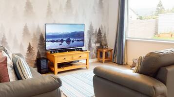 TV, DVD player, computer monitors
