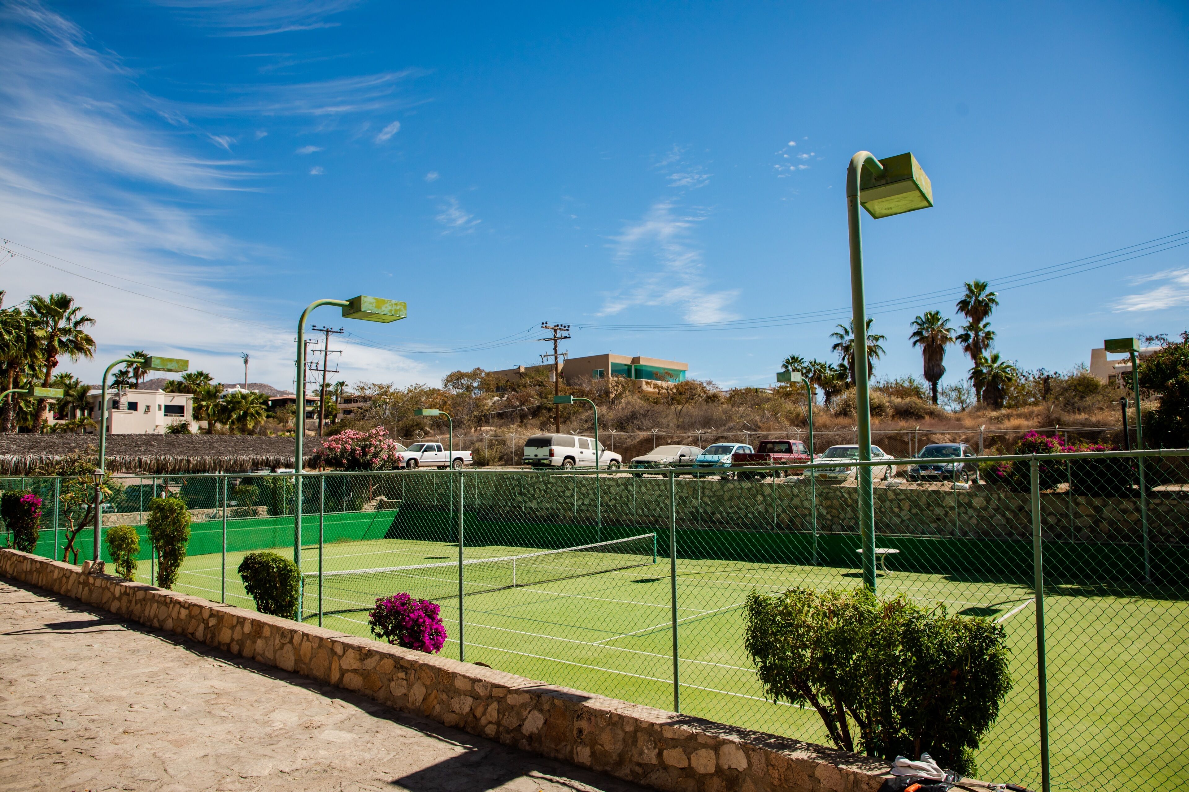 A tennis court with a stone wall and green fencing, surrounded by palm trees and buildings.