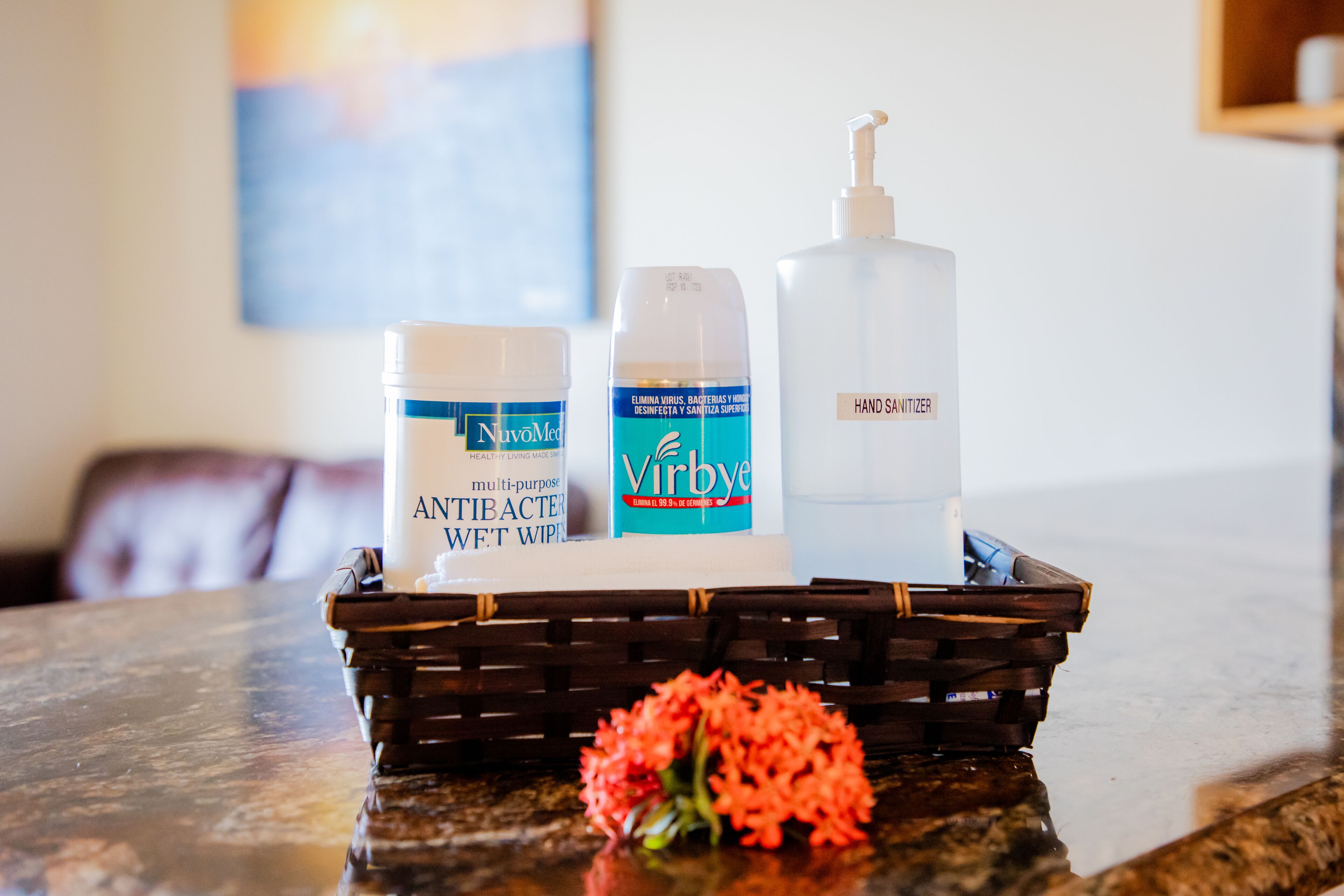 A tray with hand sanitizer, a container of wipes, and a bottle of hand soap on a kitchen counter.