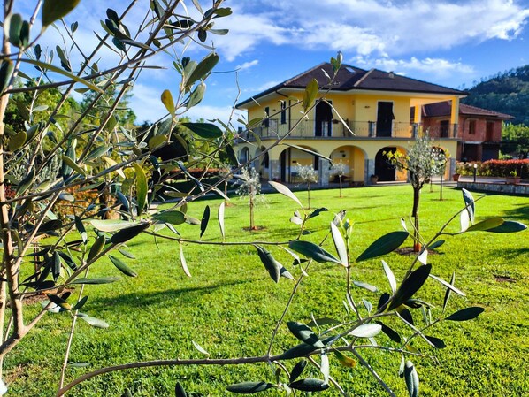 Une maison jaune avec un jardin et des oliviers au premier plan.