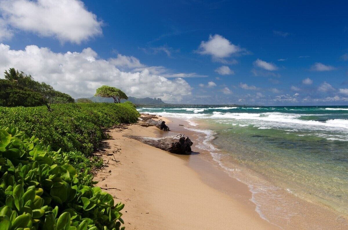 On the beach, beach towels