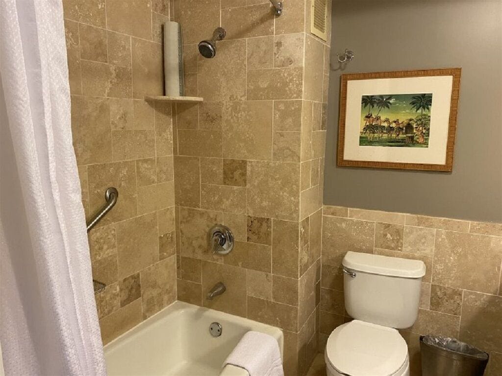 Combined shower/tub, hair dryer, towels, soap