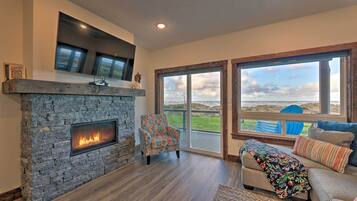 TV, fireplace, books