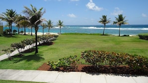A well-maintained lawn with palm trees and a view of the ocean. - SUITE 167m2, facing the beach, sleeps 8, DBC, sharing JW Marriot facilities. (Oyster pond)