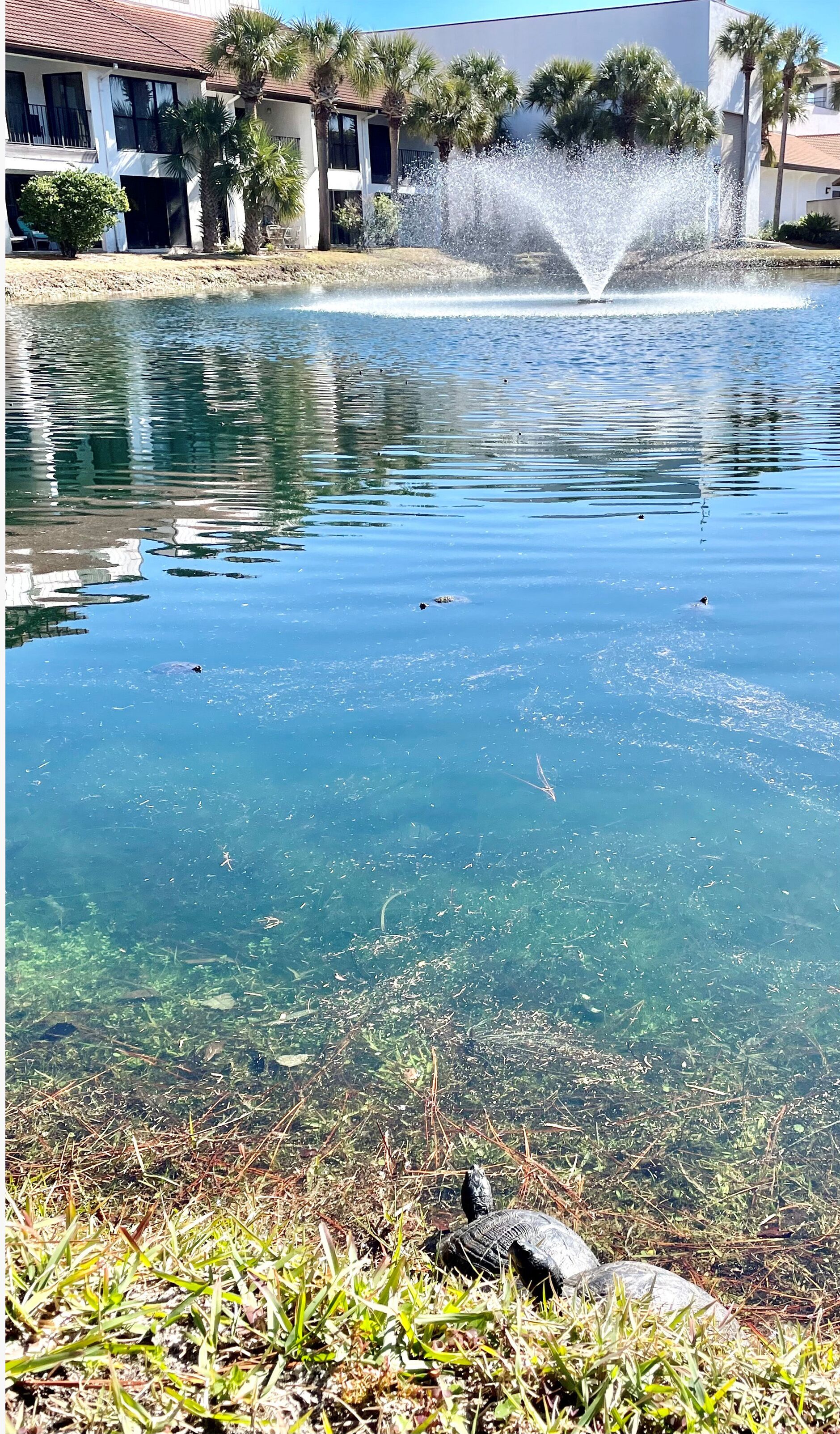 Parco della struttura