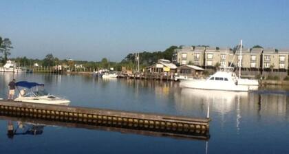 TigerMinnow @ Cole's Lodge