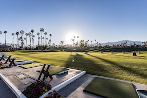 A golf course with neatly trimmed grass, palm trees, and a clear sky.
