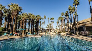 A swimming pool with clear water, surrounded by palm trees and lounge chairs.