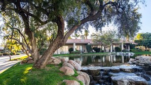 A serene garden with a pond, large rocks, and a tree.