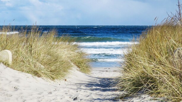 A sandy beach path leading to the ocean with tall grass on either side. - Dünenresidenz - Apartment directly on the beach, balcony with sea view - Dünenresidenz FeWo (Breege)