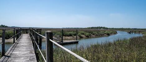 A wooden boardwalk leading to a riverbank with a small dock.