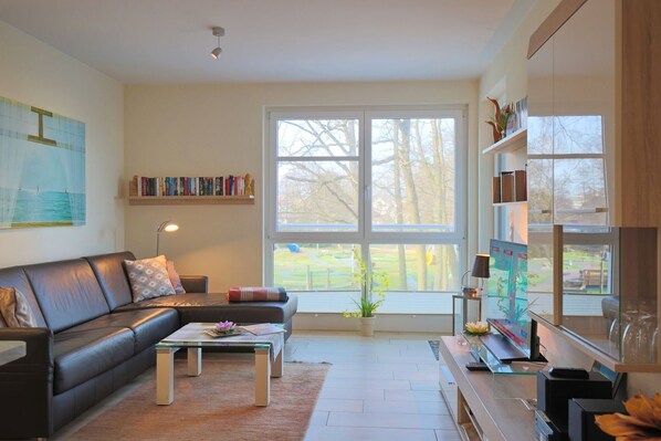 TV, DVD player, stereo
