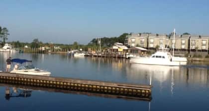 The Kingfish @ Cole's Lodge