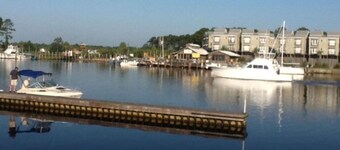 The Kingfish @ Cole's Lodge