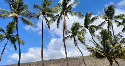 Quiet get-away in Lush Tropical Setting- 5 min walk to snorkeling beach!