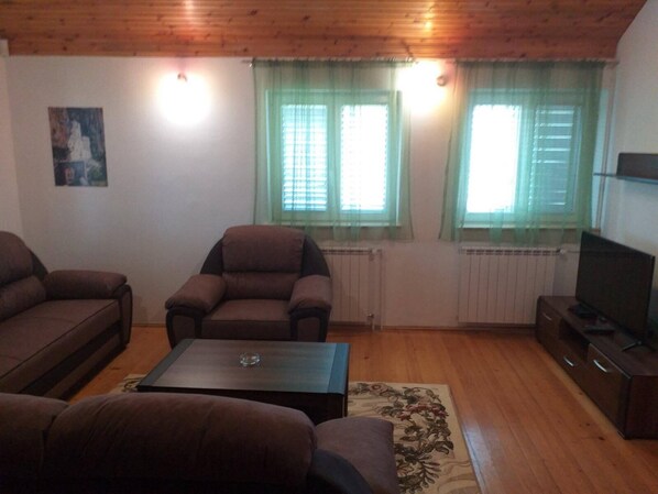 A living room with a brown sofa, a brown armchair, a coffee table, and a television on a wooden cabinet. There are two windows with green curtains and a radiator below them.