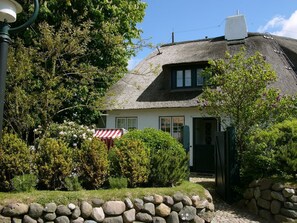 Eksteriør