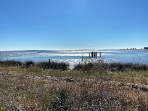 The Blue Crab @ COLE'S LODGE