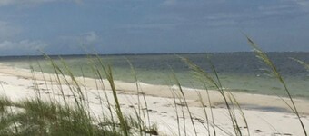 The Blue Crab @ COLE'S LODGE