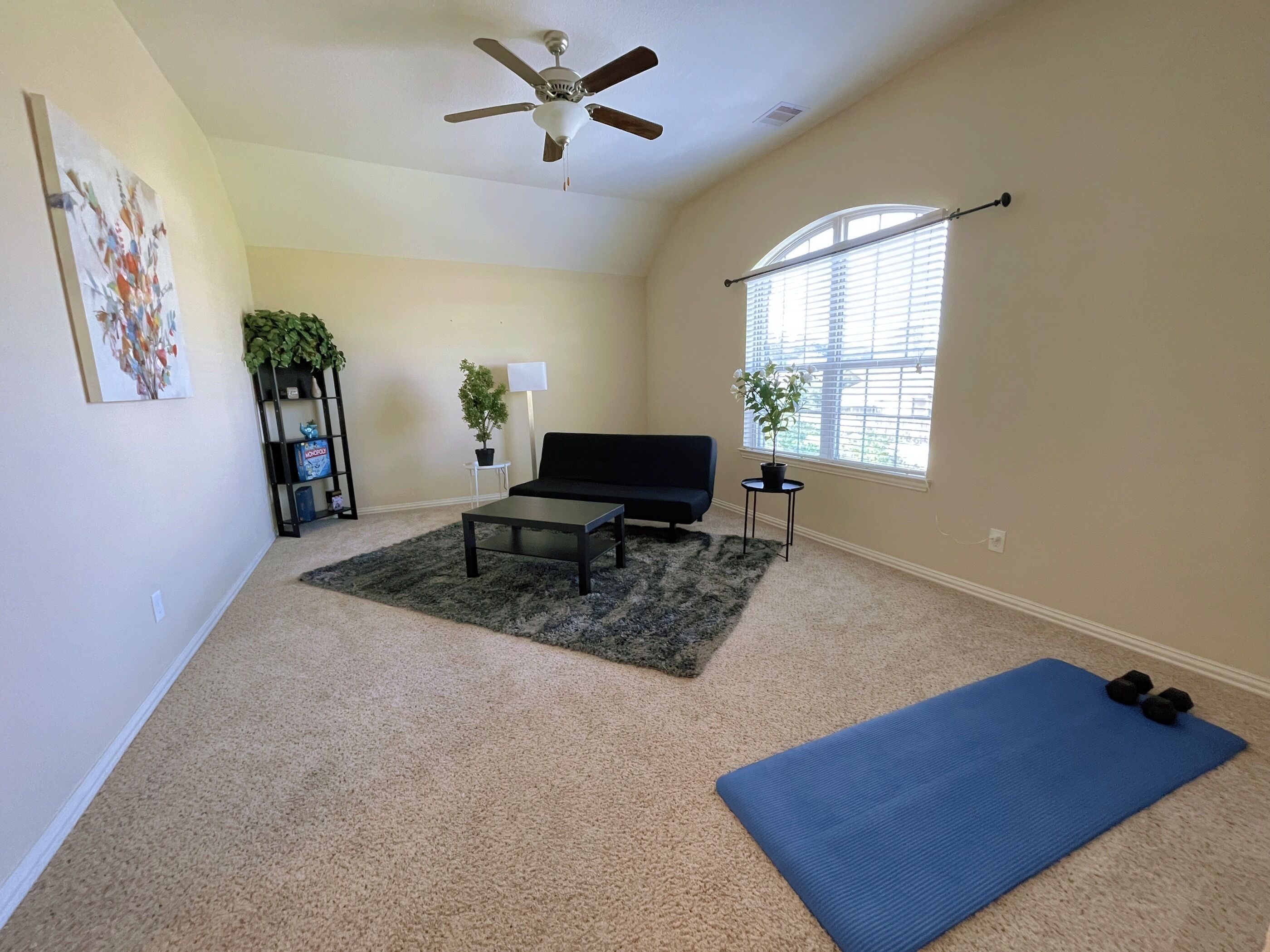 A living room with a ceiling fan, a black sofa, a coffee table, a blue exercise mat, and two potted plants.